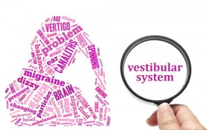 Vestibular System